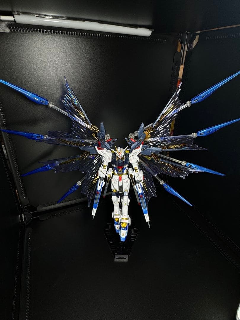 RG　ストライクフリーダムガンダム（チタニウムフィニッシュ）＋天空の翼　完成品