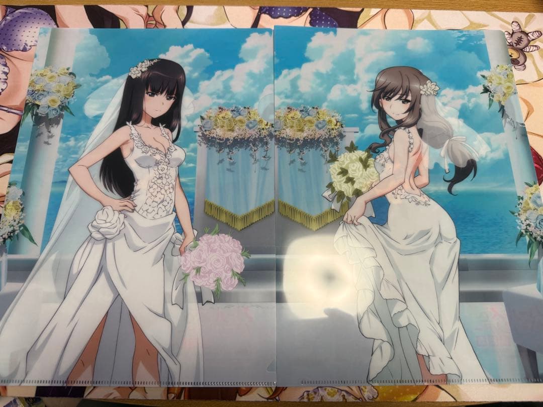 ガールズ&パンツァー あんこう祭カーテン魂購入特典 クリアファイル おまけ付き