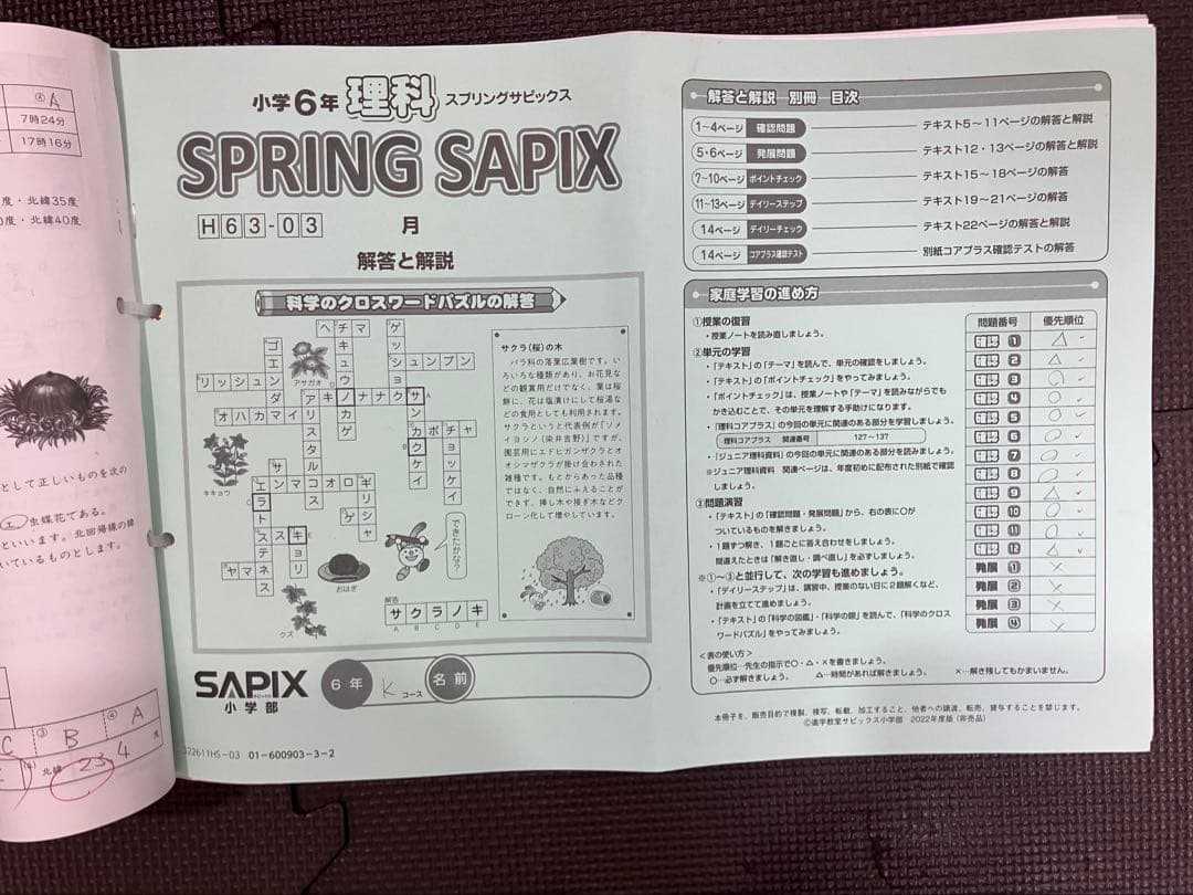 サピックス 6年 理科 デイリーサピックス 1-38 平常授業 2023年受験