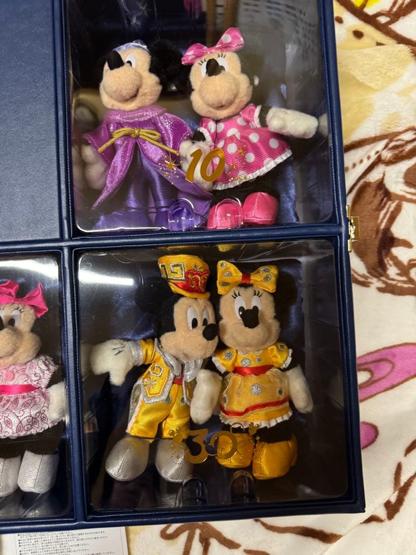 東京ディズニーリゾート30周年限定 ぬいばセット　ミッキー　ミニー　希少　レア
