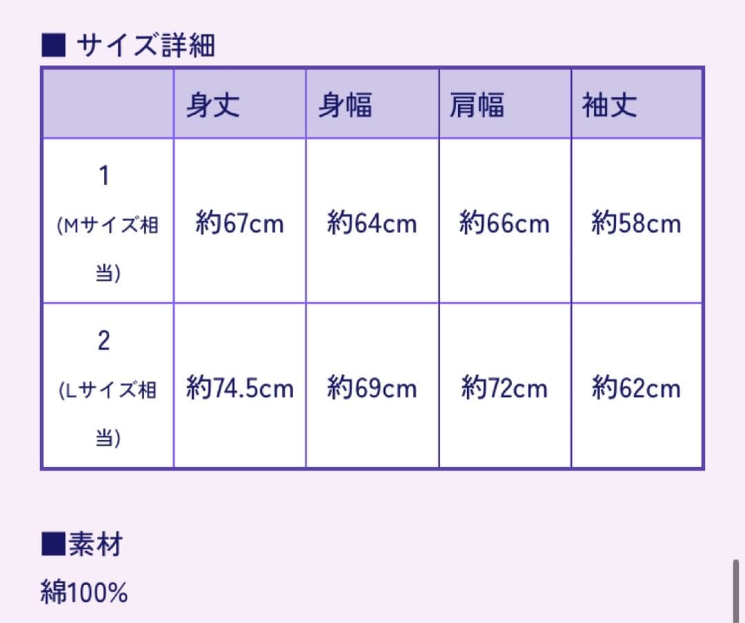 龍宮城　裏島　浦島 Hoodie パーカー　未使用