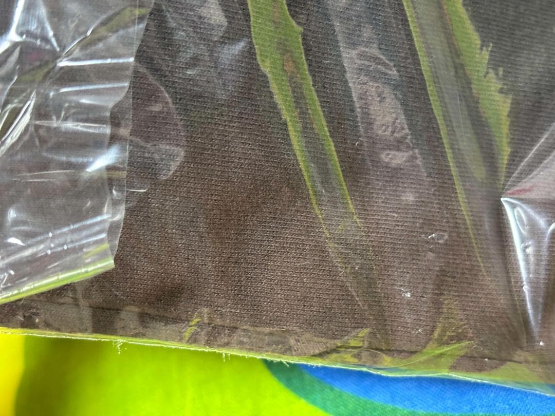 EARWIG Tシャツ Sサイズ アーヤと魔女 未使用 未開封 訳あり 2種類