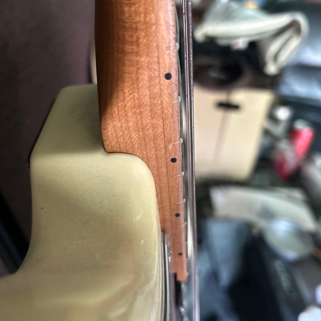 Bacchus アイボリー エレキギター ハムバッカー