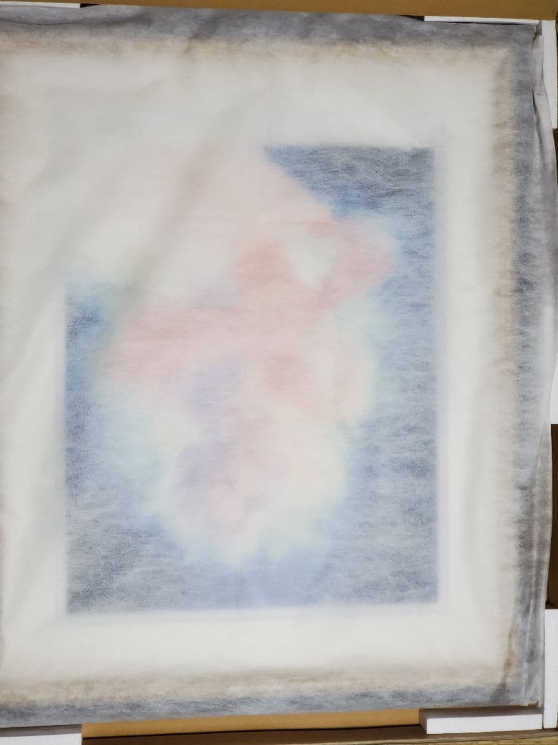 いのまたむつみ 版画 コンドライト アールビバン - メルカリ