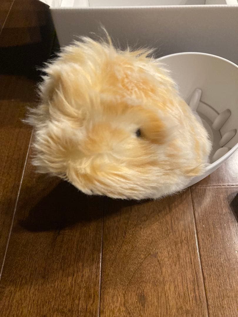 Moflin ぬいぐるみ 本体