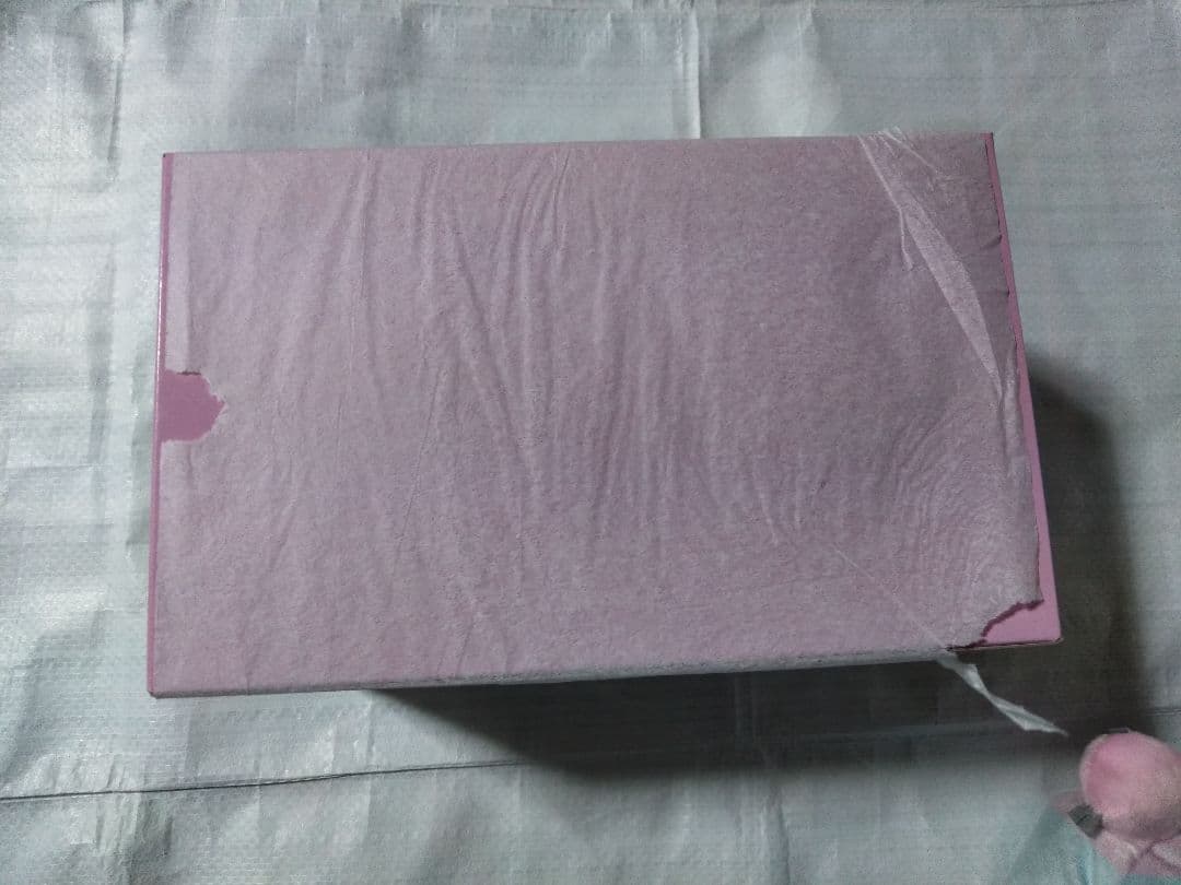 ポケットモンスター ナンジャモ グッズまとめ売り ピアス フィギュア ポケモン