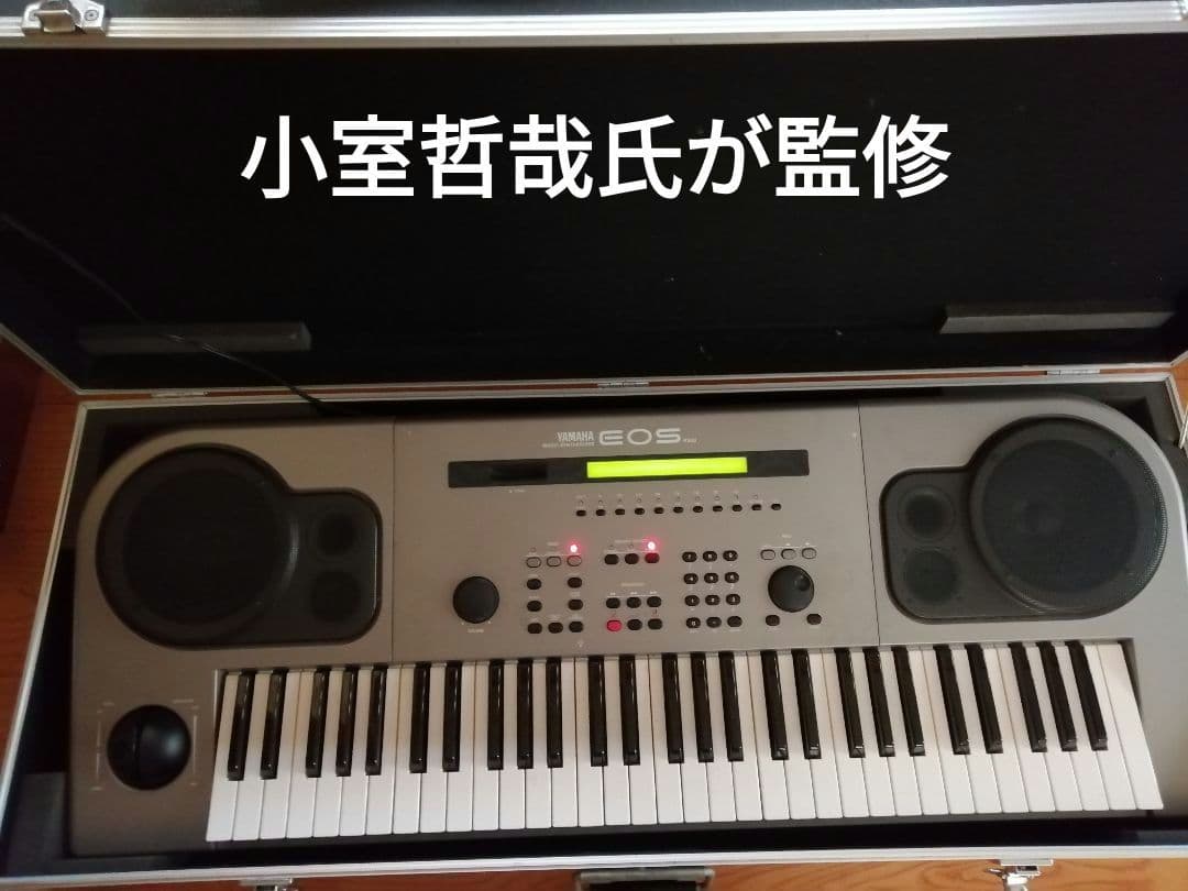 YAMAHA EOS B500 シンセサイザー Yamaha B500 EOS Synthesizer (1990) | WOLF FASCINATIONS