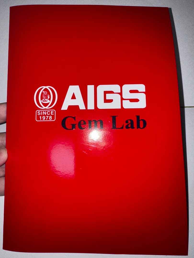 めけめけ様専用 VARTIX バータイプネックレス サファイア付き - メルカリ