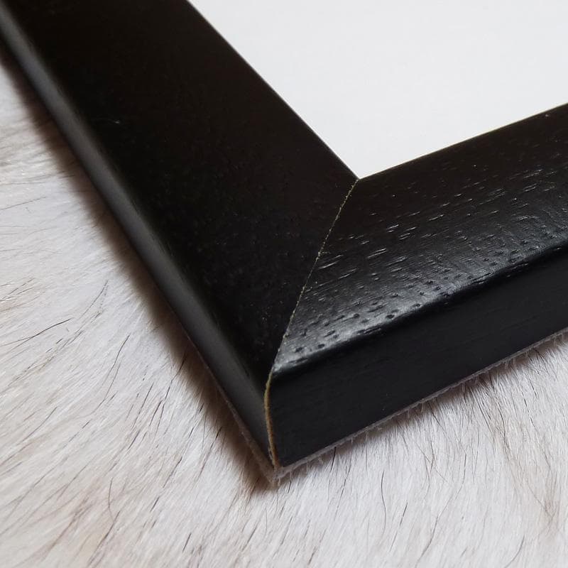 額装済作品/インテリア/人間とネズミ/カタリーナ フリッチ/アート