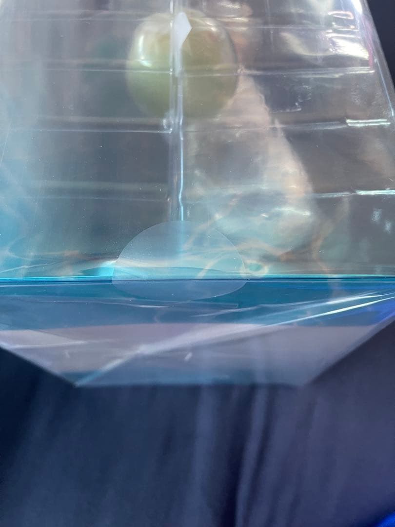 【新品未開封】　ライザのアトリエ2 ～失われた伝承と秘密の妖精～ 白水着ver