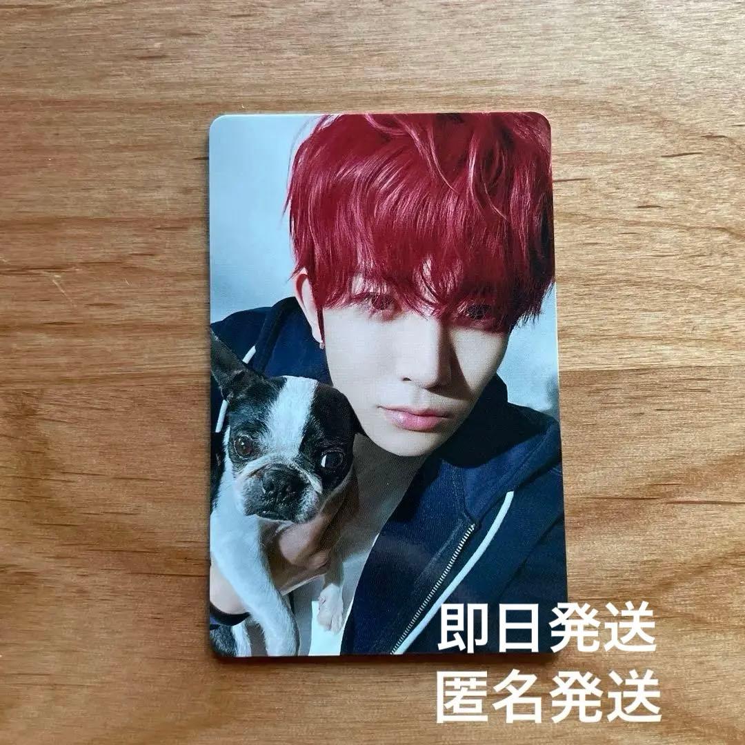 ENHYPEN FC特典 アンケート2025トレカ ヒスン エンハイフン