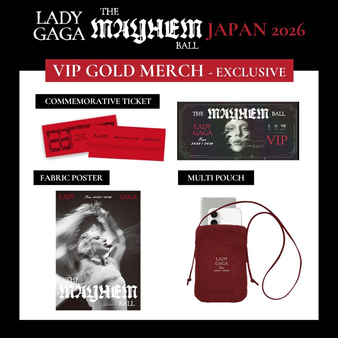 Lady Gaga VIP GOLD グッズ　セット