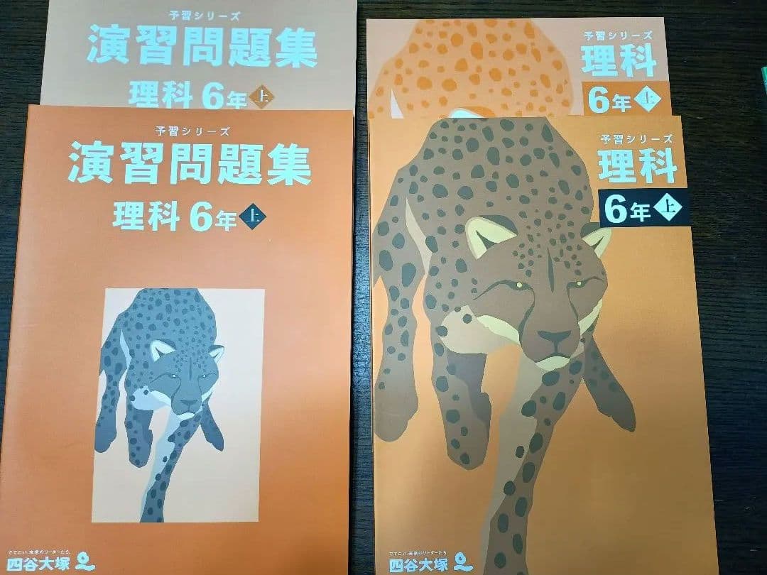 四谷大塚 予習シリーズ 6年上 国語算数理科社会 セット テキスト一式