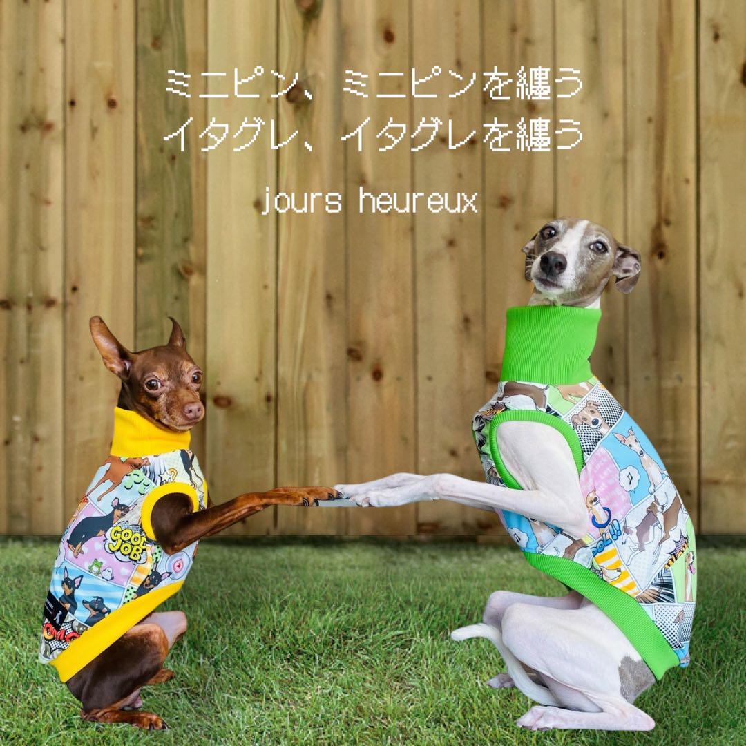 ⑮ミニピン、ミニピンを纏う イタグレ、イタグレを纏う - メルカリ