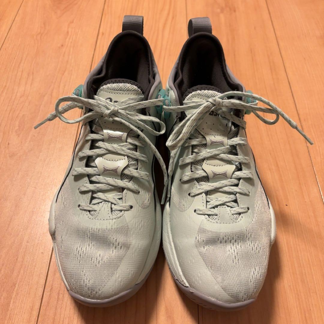 【最終値下げ！】25.5cm 超美品！NOVA SURGE LOW2