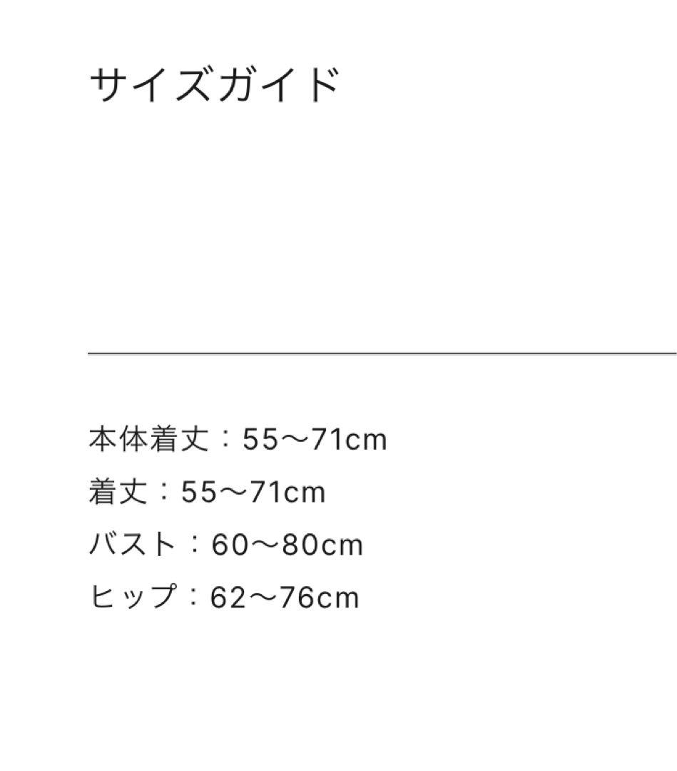 MIZUASOBI ピピング水着