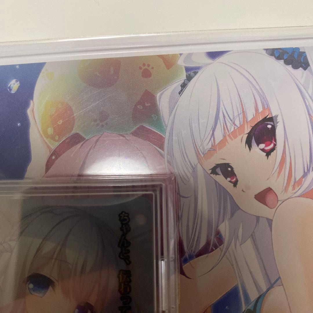 SSP 引きこもり生活 君原 結愛(箔押し)