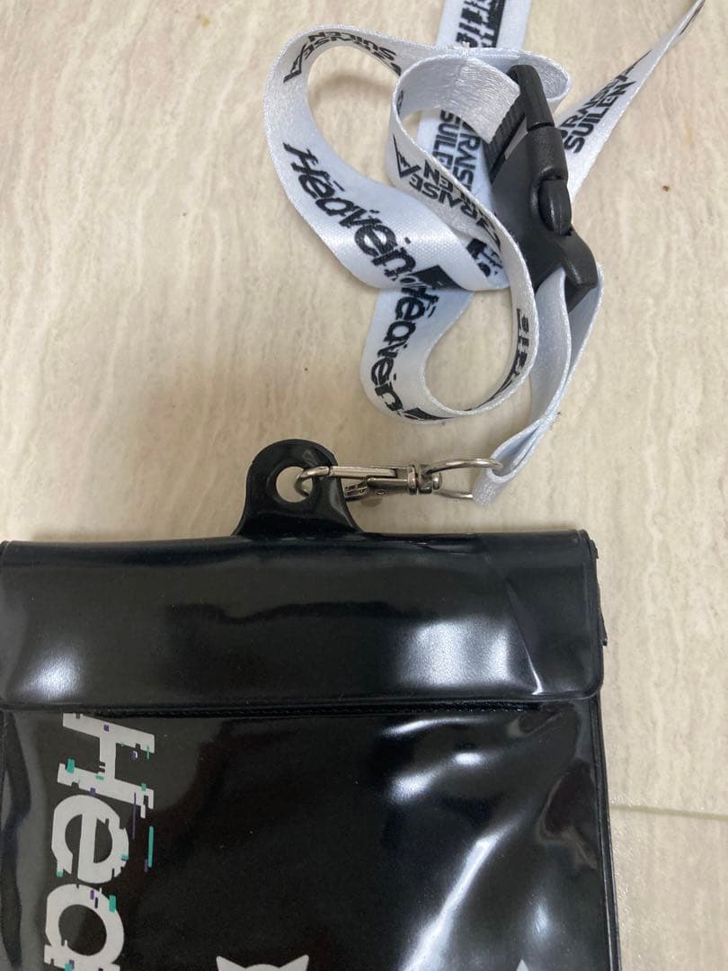 RAISE A SUILEN Heaven and Earth パスケース