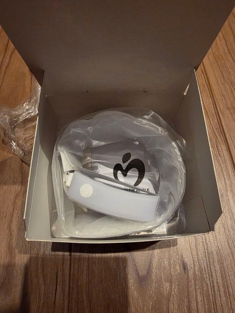 【新品未使用】WELTRAUM ライトバンド バベルの塔 ミセス ゼンジン