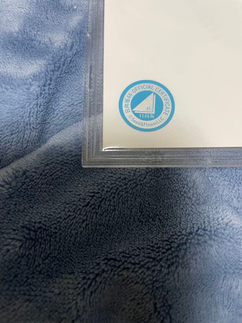 日向坂46 BRAND NEW LIVE 小坂菜緒 直筆サイン 生写真