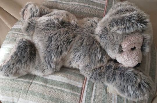 レア☆WDW ディズニー ベア 寝転び ごろ寝 ダッフィー