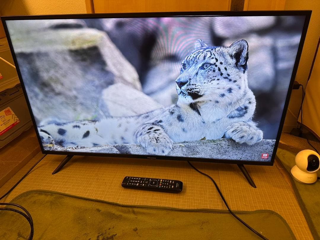 ハイセンス hisense 40型　テレビ 40H30E　2020年製　映り綺麗 40H30E | ハイセンスジャパン株式会社