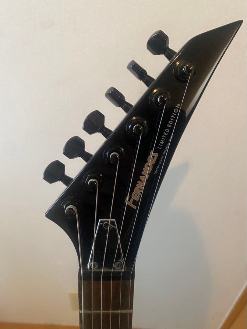 博*文様 【即購入歓迎】FERNANDES ギター