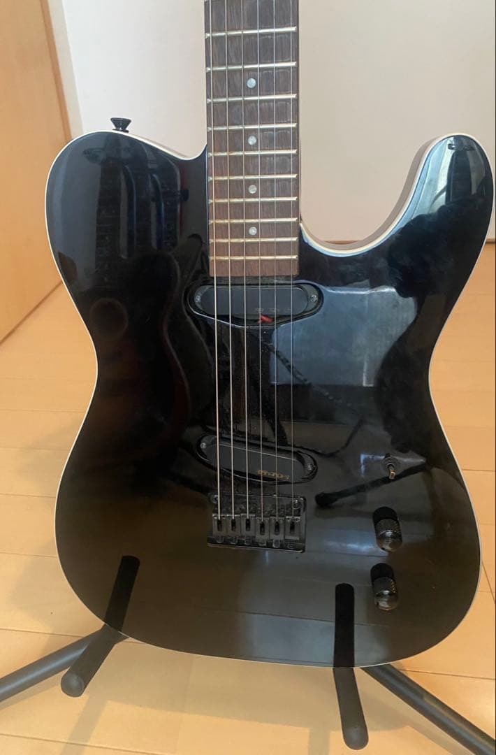 博*文様 【即購入歓迎】FERNANDES ギター