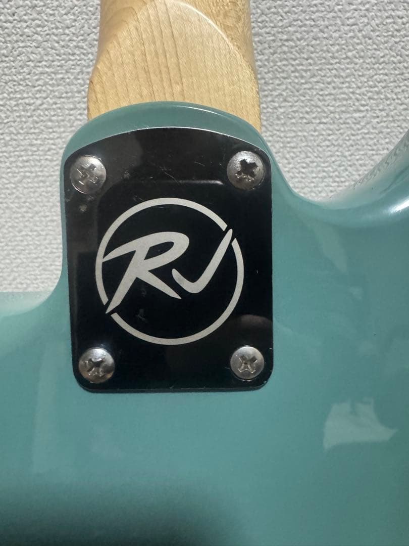 ギター RJ Vibecaster Professional