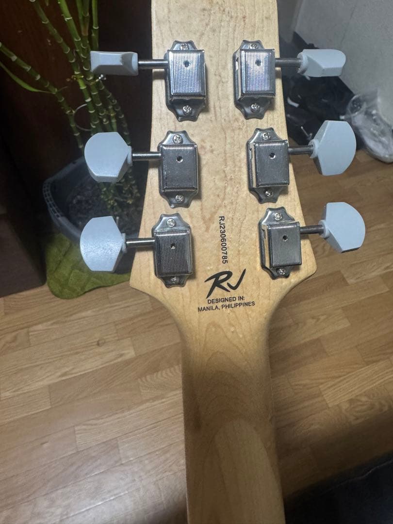 ギター RJ Vibecaster Professional