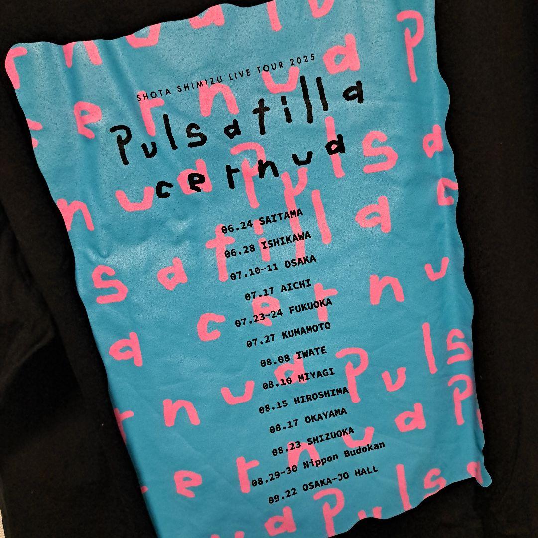 清水翔太ツアーグッズまとめ売り