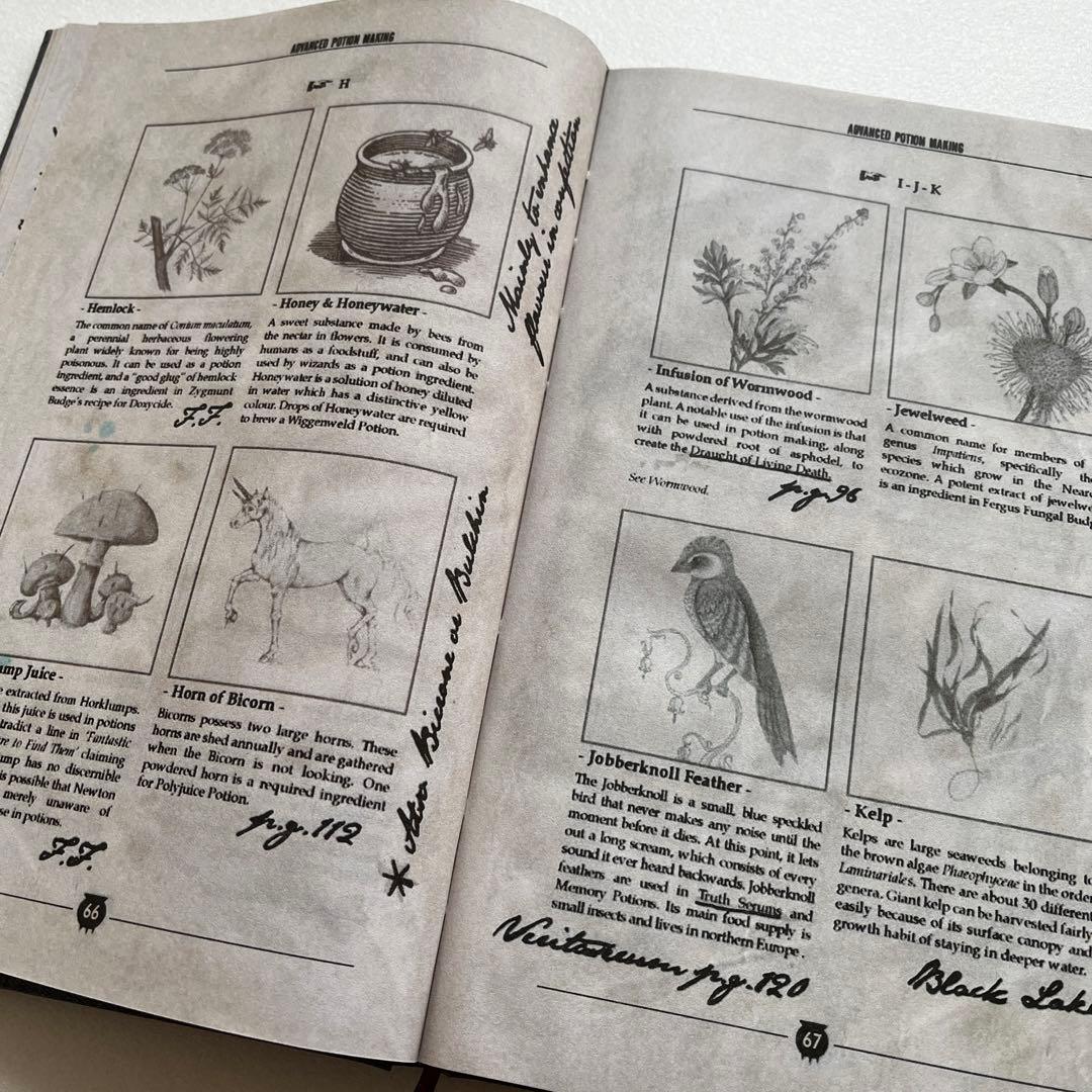 新品未使用】ハリーポッター 魔法薬学 教科書 中身あり - メルカリ