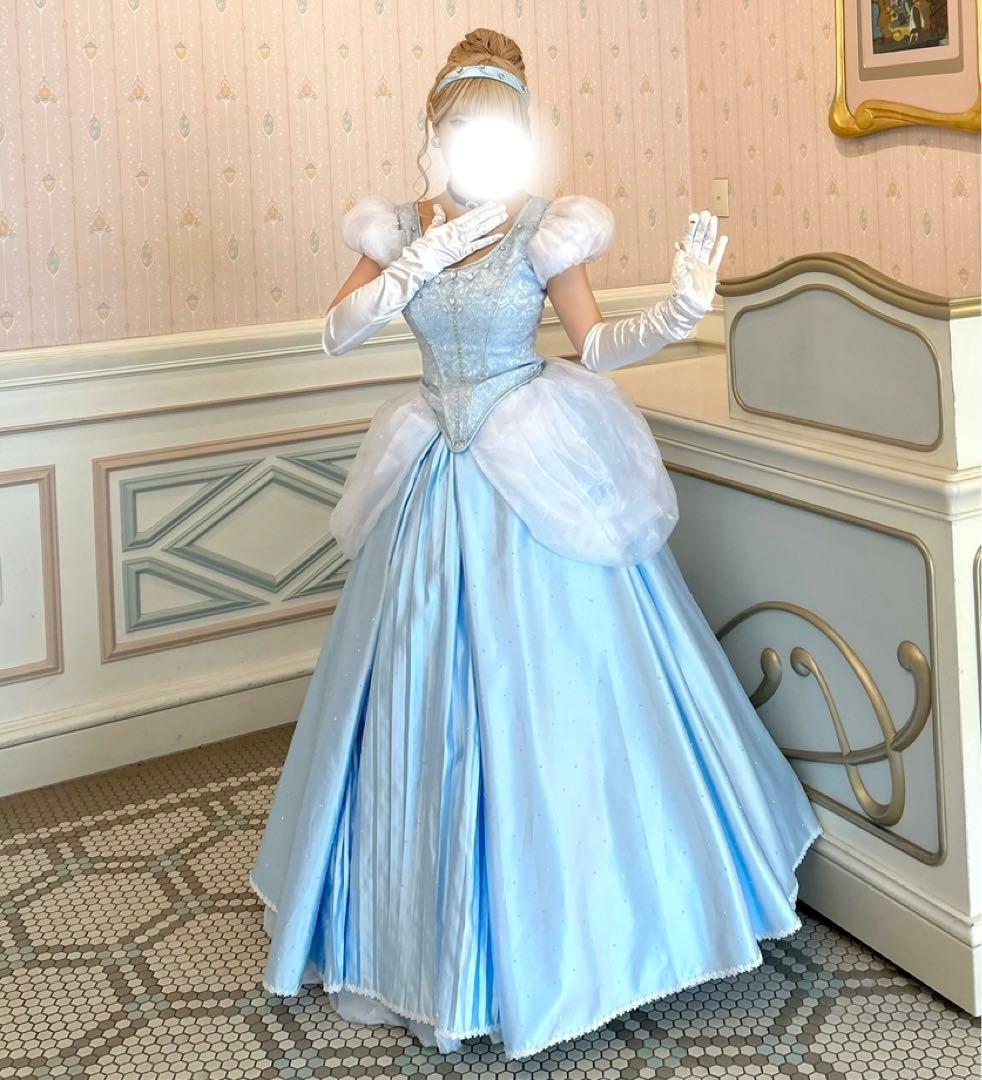 シンデレラ 仮装 大人 コスプレ ウィッグ Dハロディズニーハロウィン
