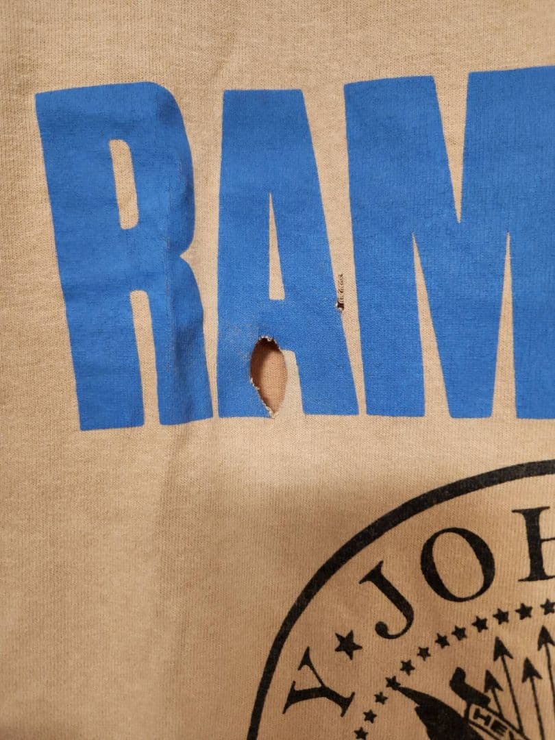ビンテージ ラモーンズ RAMONES Tシャツ 1995 フェアウェルツアーM