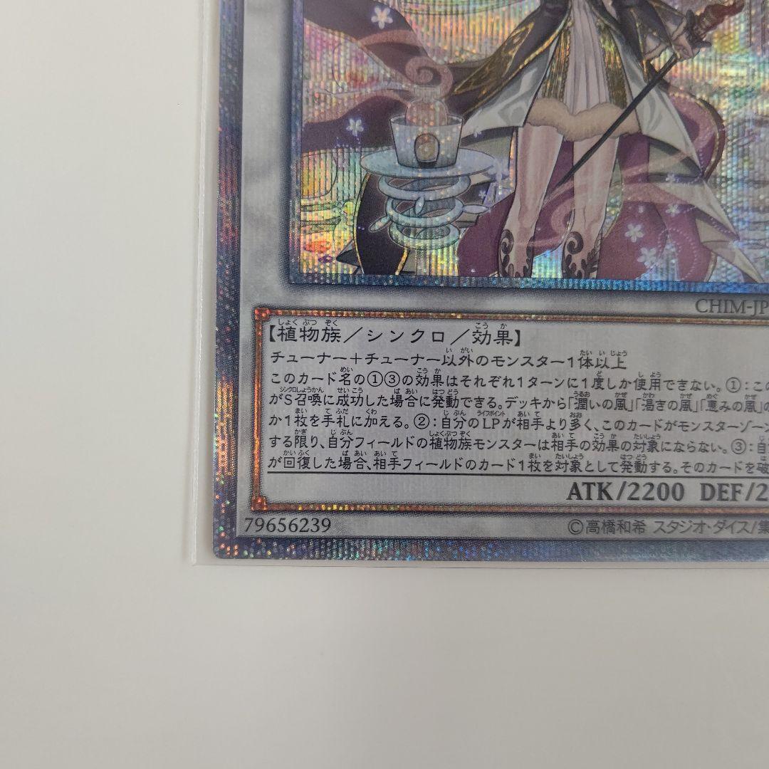 遊戯王 アロマセラフィ－スイート・マジョラム