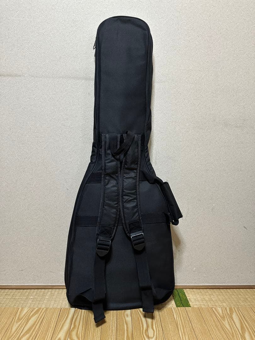 ギター Monogram MGS-STD