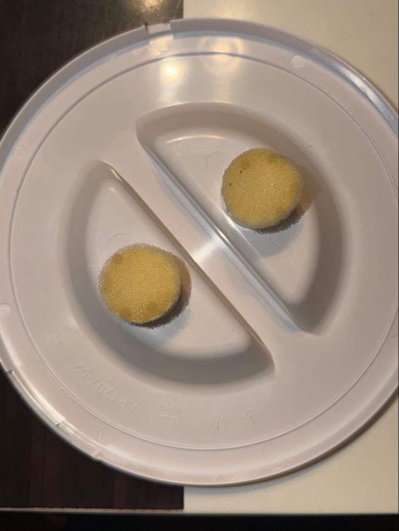 SchwarzWald UV-C空間除菌装置 - メルカリ