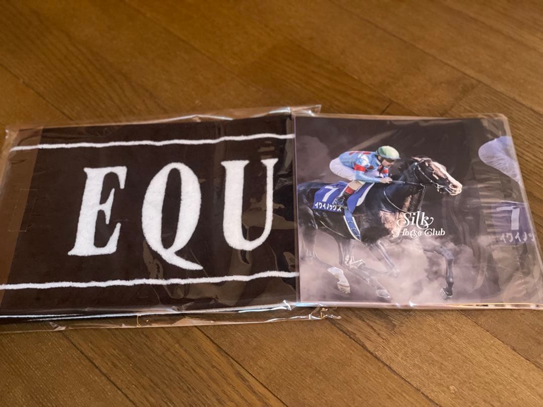 イクイノックス 出資会員限定優勝記念品 天皇賞秋2023