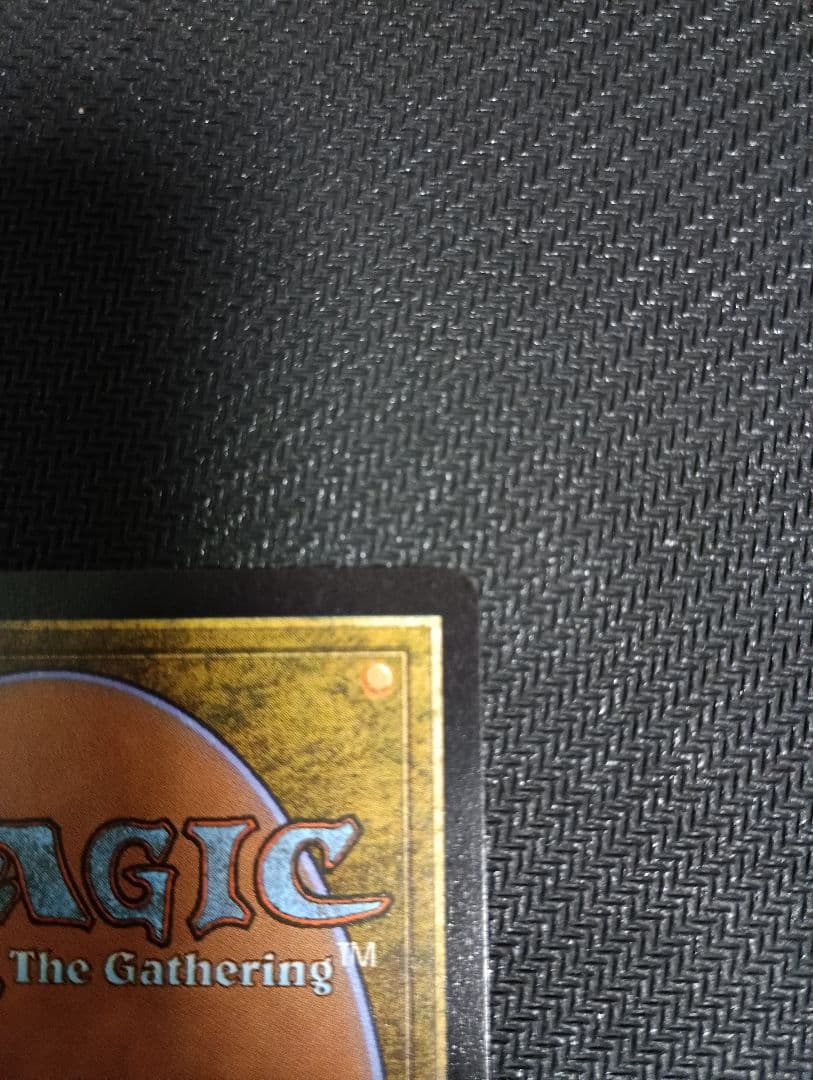 た*ー様 スペクタキュラースパイダーマン R 0241