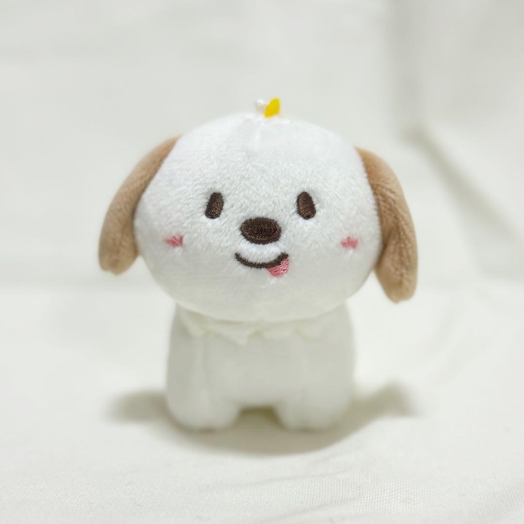 RIIZE アントン ぬいぐるみ ライズ バレンタイン DAYZE - メルカリ