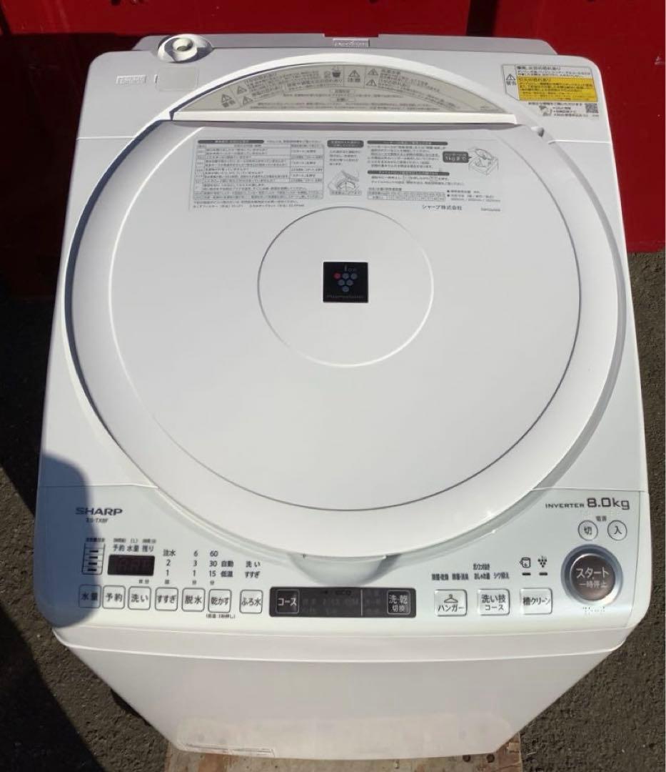 シャープ 8.0kg 洗濯機 ES-TX8F-W 2022年製