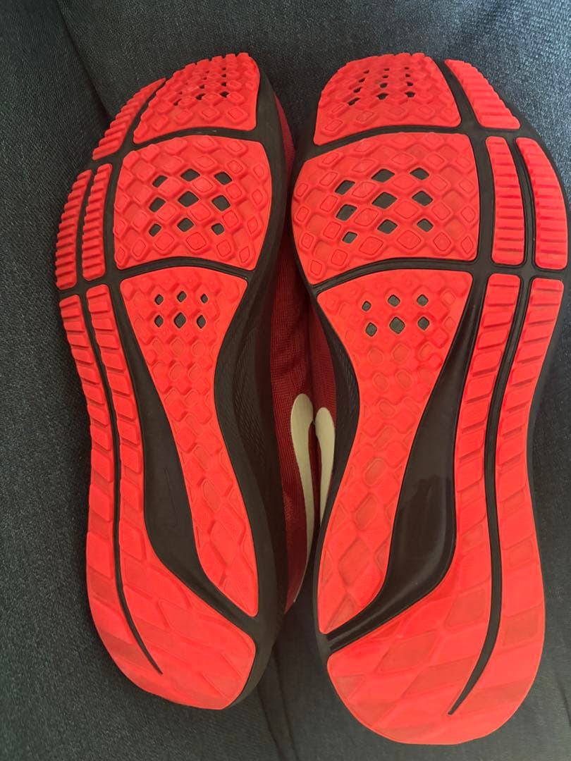 Nike ナイキ エアズームペガサス39 By You 28cm〜28.5cm