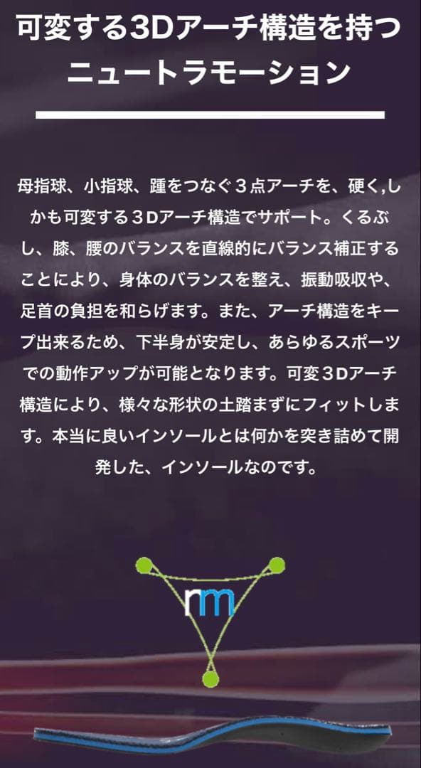 Reebok インスタポンプリューリー ブラック 25.5cm【未使用に近い】