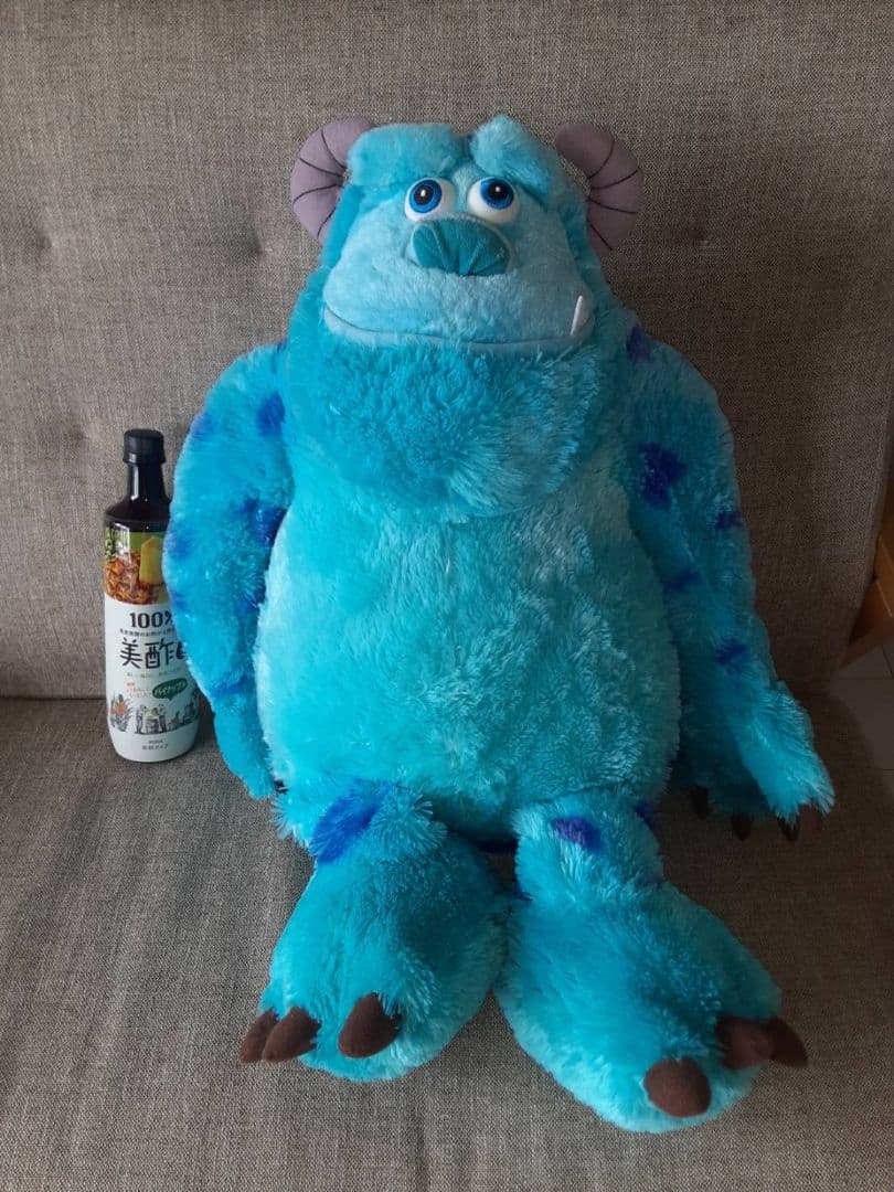 サリー 単独 大きいサイズ