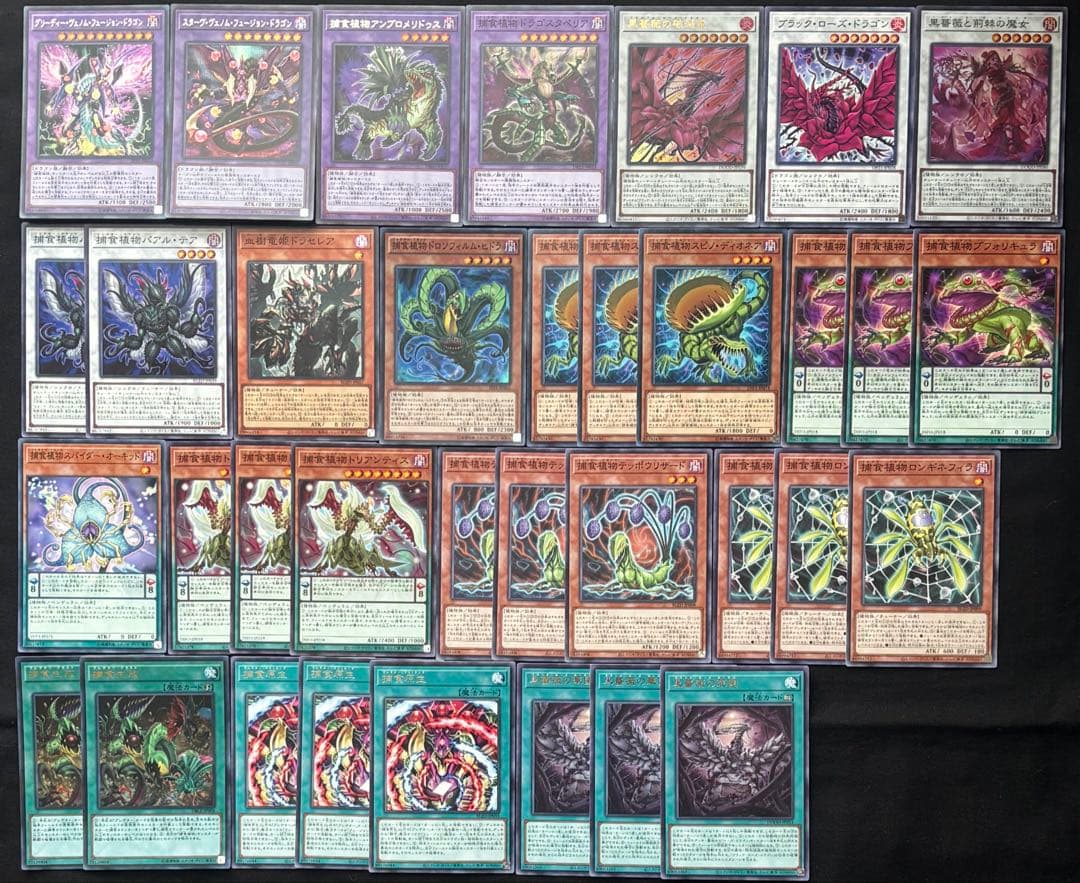 遊戯王 捕食植物 プレデタープランツ 新規入り デッキパーツ 35枚