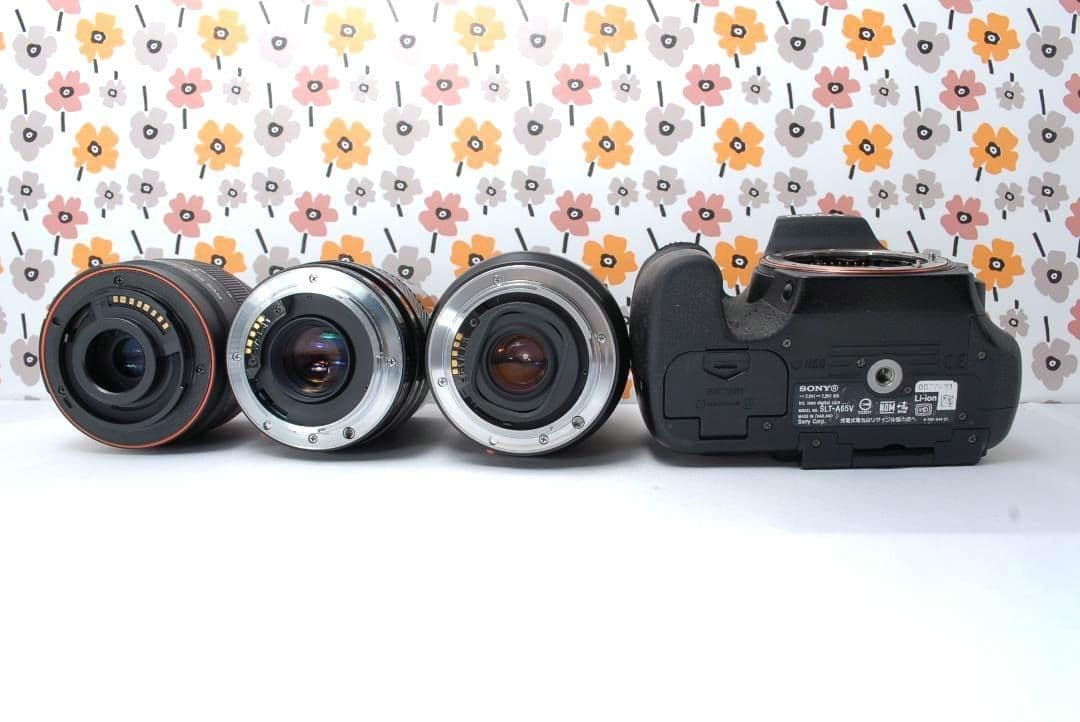 ❤SONY α65❤1秒10コマの高速連射❤トリプルレンズ❤超望遠❤超高画質