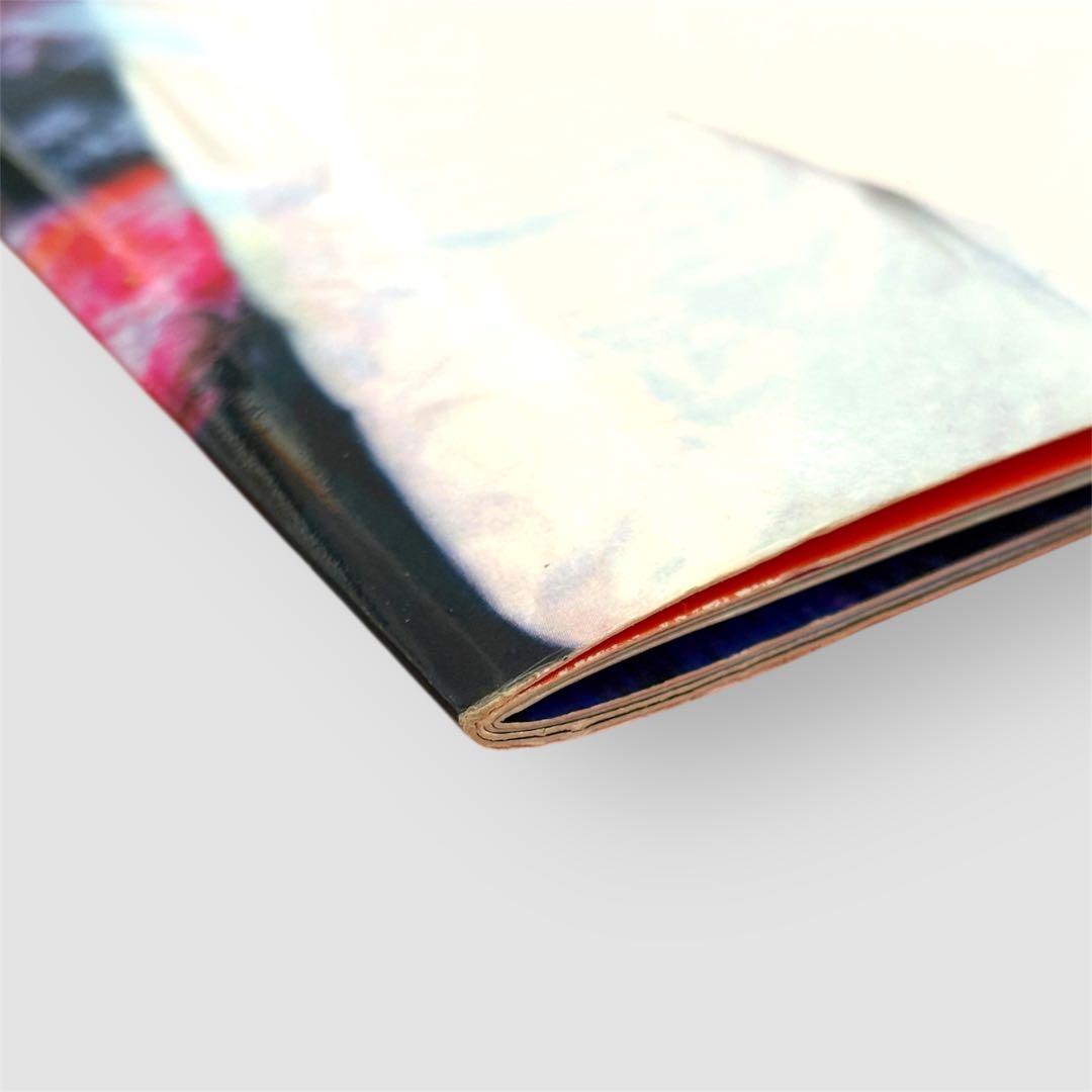 【極美品】ビョーク 1996年来日公演パンフレット Bjork ‘96日本ツアー