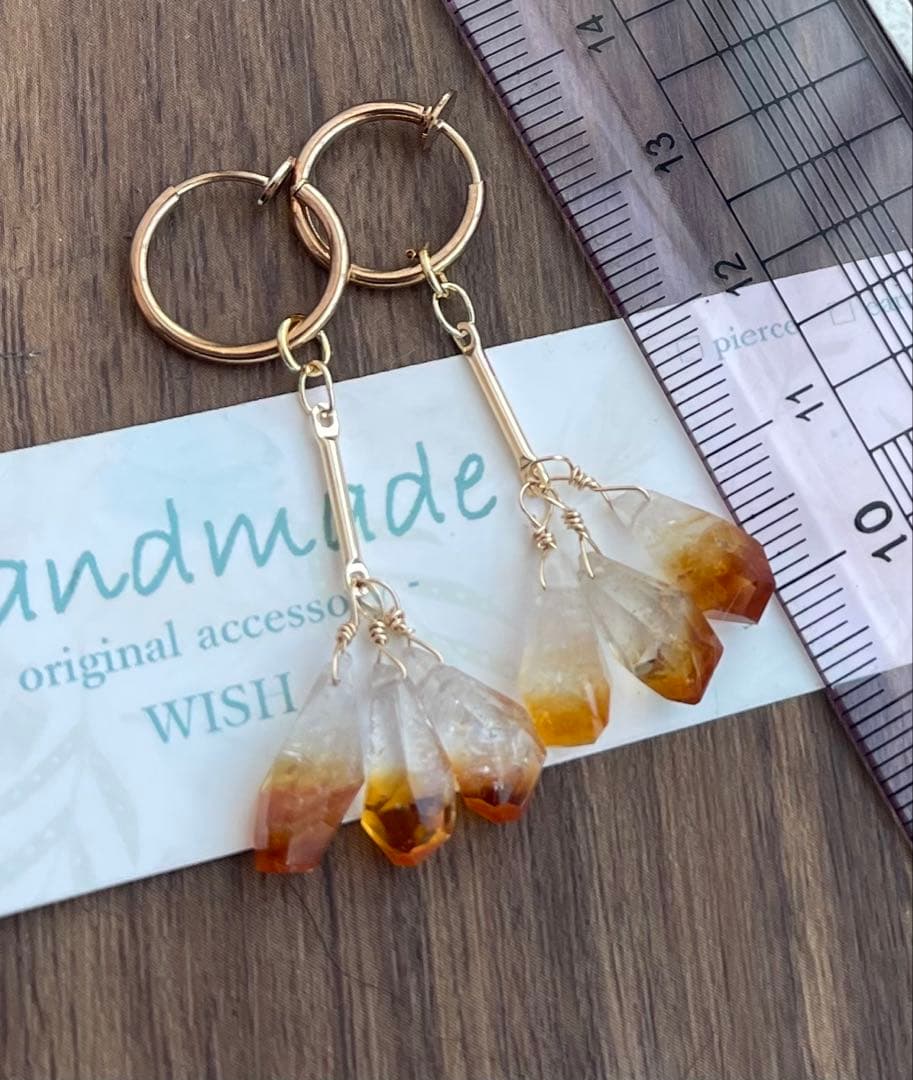 ポメころびページです୨୧