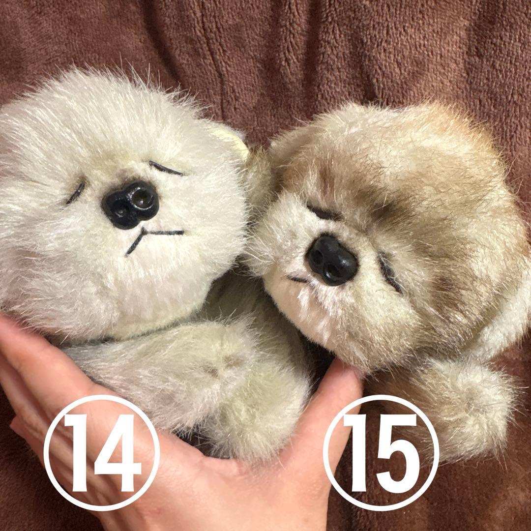 【大量】寝そべりたくさん猫＋αぬいぐるみセット【まとめ売り】