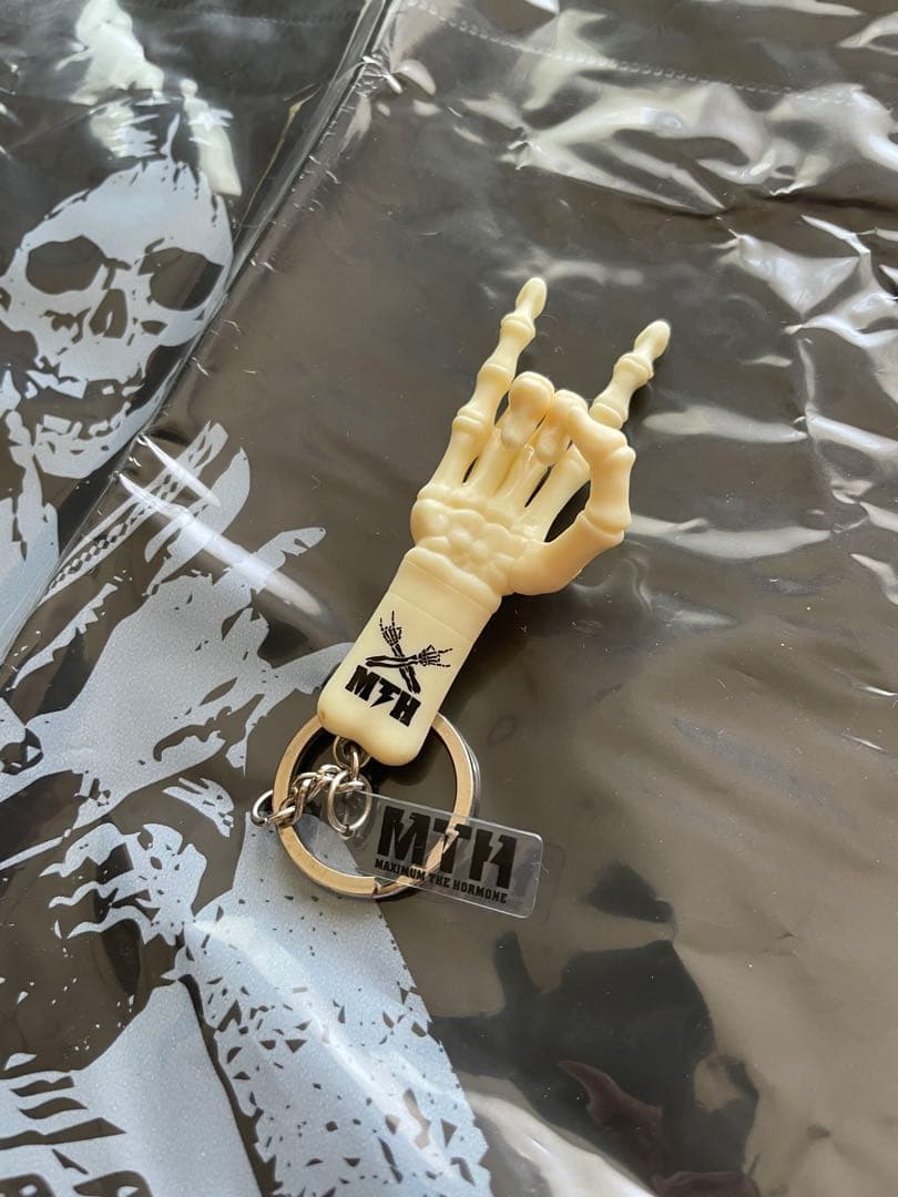 未使用マキシマムザホルモン/謎の応募券当選グッズ/非売品レアキーホルダー